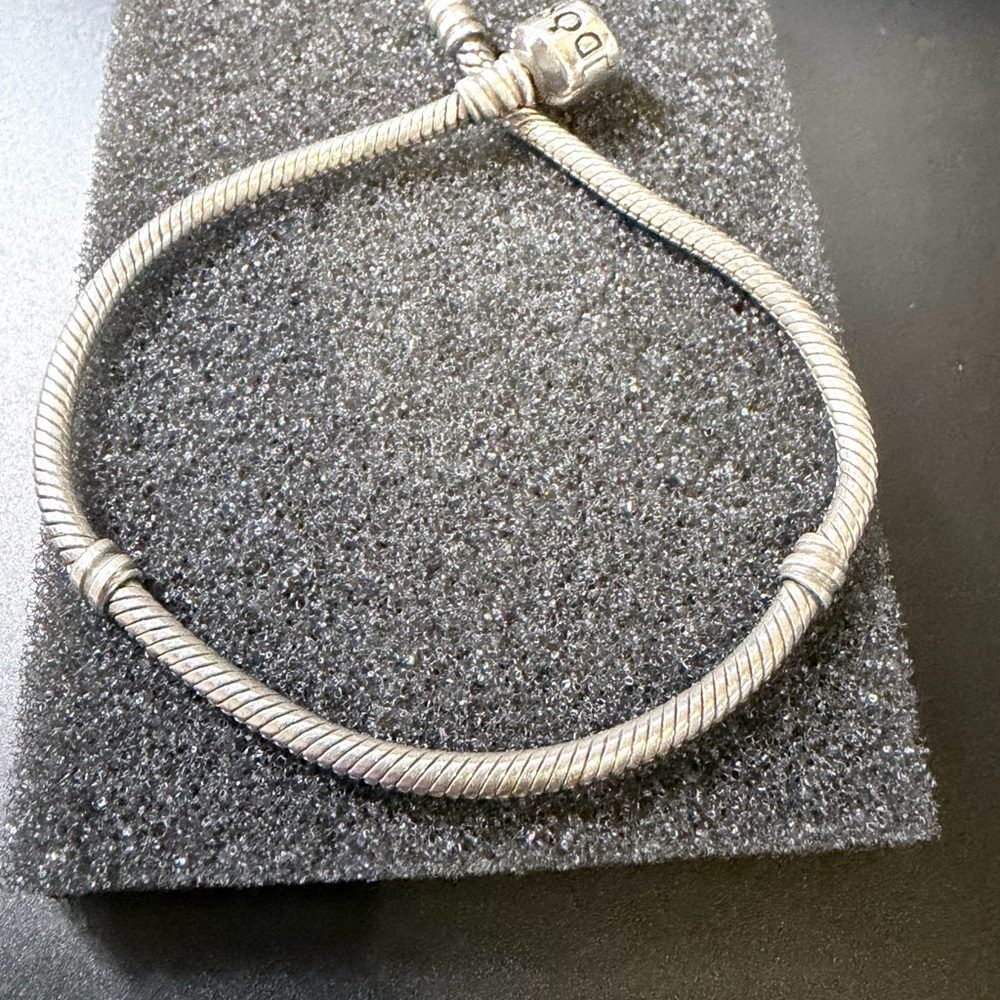 Pandora Moments Charm Bracelet